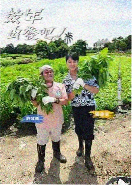 《龙凤脱口秀》